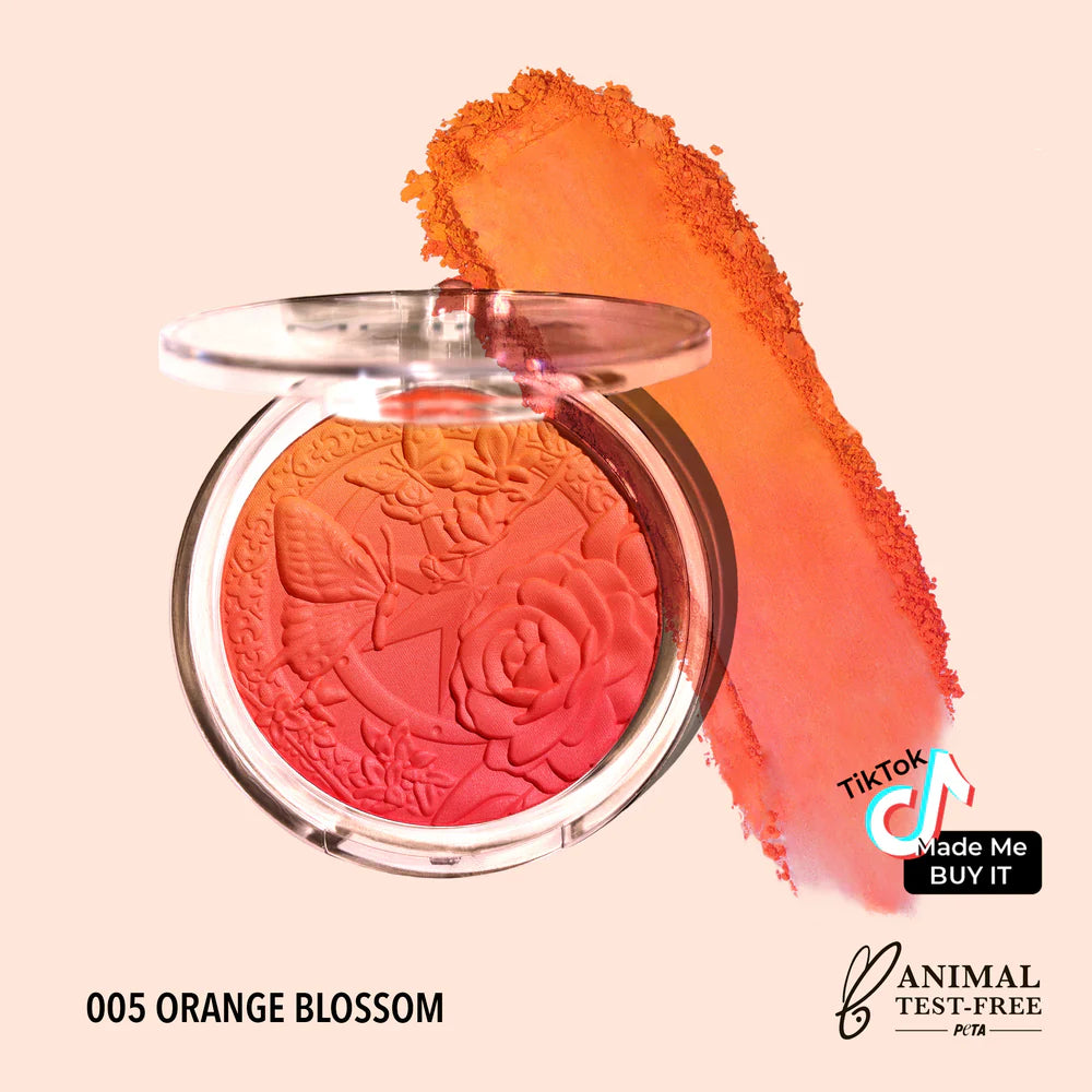 Rubor ombré Signature